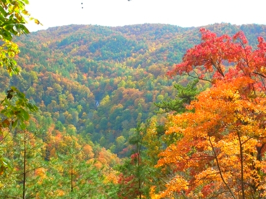 South Mountain State Park - just 20 miles south of me